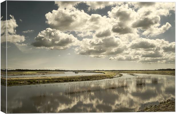 River Thurne and Upton Marshes Canvas Print by Stephen Mole