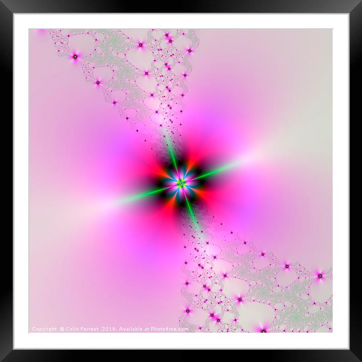 Floral Sprays in Pink and Green Framed Mounted Print by Colin Forrest
