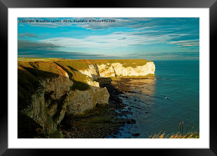BRIGHT MORNING Framed Mounted Print by andrew saxton