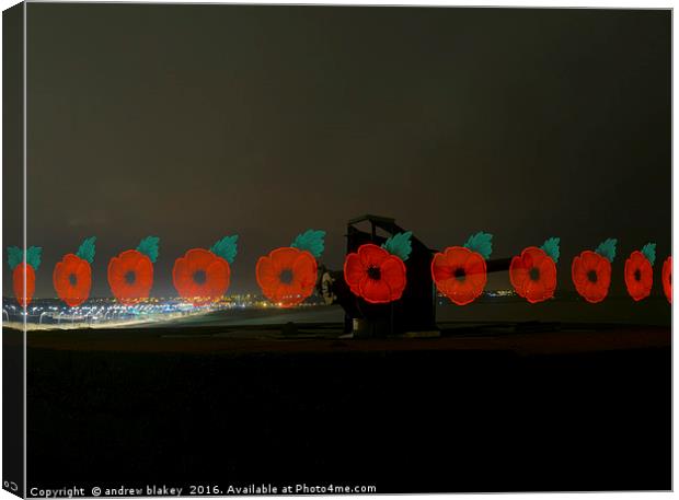 Poppies at Trow, South Shields Canvas Print by andrew blakey