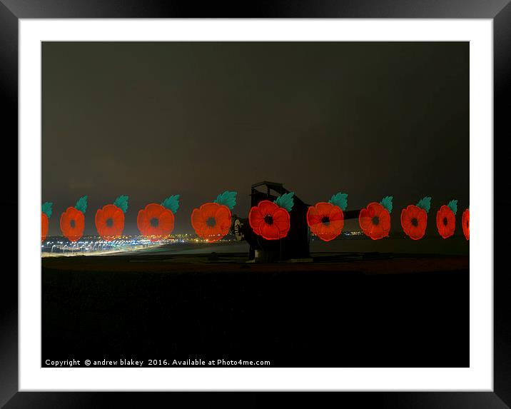 Poppies at Trow, South Shields Framed Mounted Print by andrew blakey