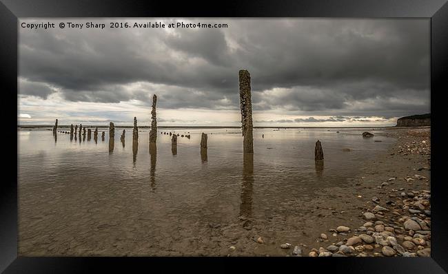 Sea Defence No More Framed Print by Tony Sharp LRPS CPAGB