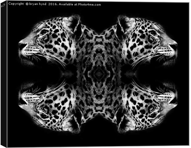 Jaguar abstract Canvas Print by bryan hynd