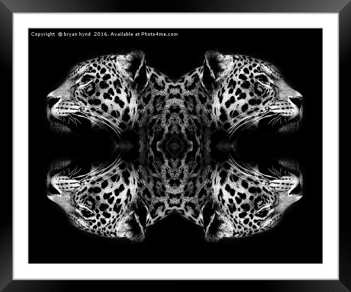 Jaguar abstract Framed Mounted Print by bryan hynd