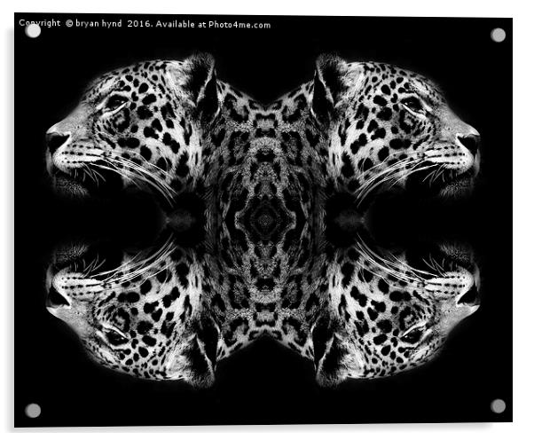 Jaguar abstract Acrylic by bryan hynd