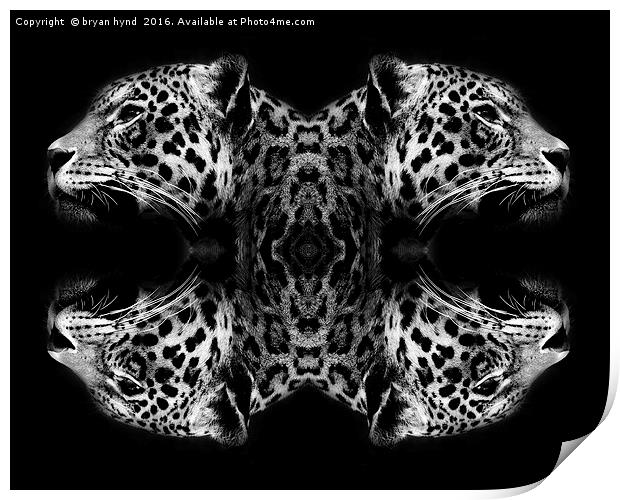 Jaguar abstract Print by bryan hynd