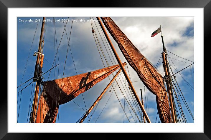 Thames Barge Sails. Framed Mounted Print by Brian Sharland
