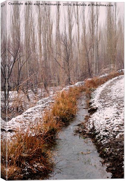 A stream of fresh water in a garden. Canvas Print by Ali asghar Mazinanian