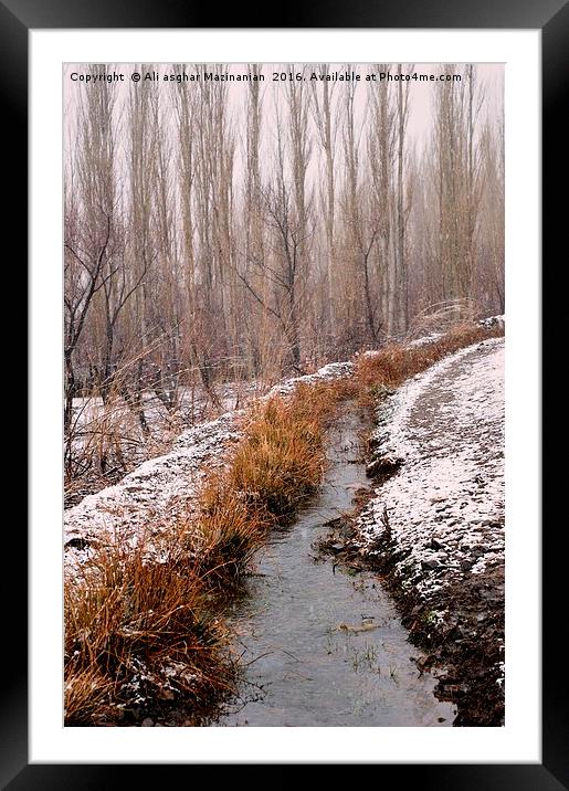 A stream of fresh water in a garden. Framed Mounted Print by Ali asghar Mazinanian