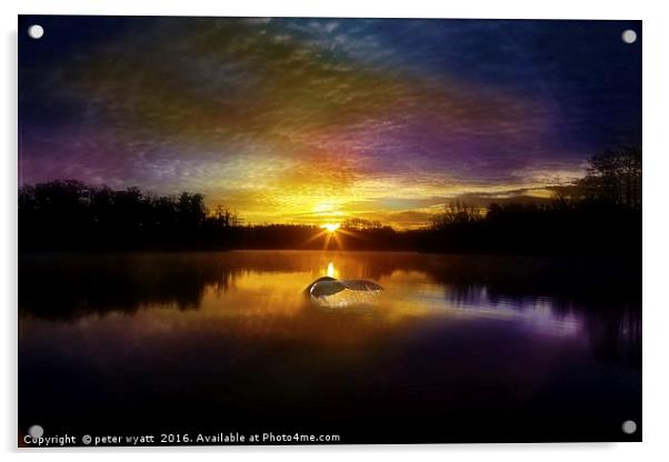Whale Tale Acrylic by peter wyatt
