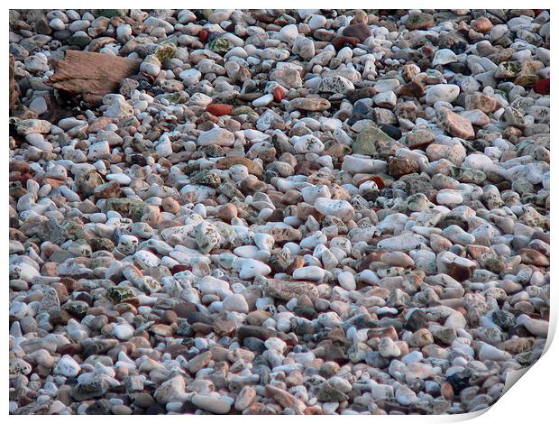 Pebbles on A Beach Print by Jackson Photography