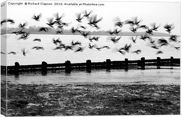 Flying Geese Canvas Print by Richard Clapson