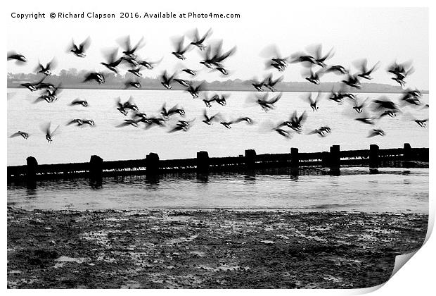 Flying Geese Print by Richard Clapson