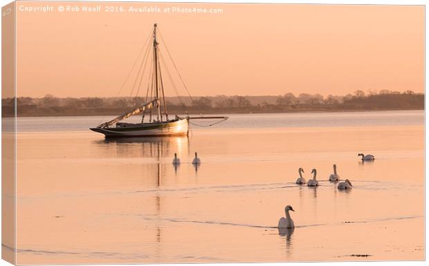 Tranquil swans at Mistley Canvas Print by Rob Woolf