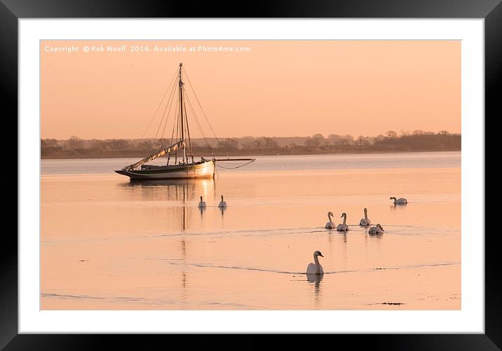 Tranquil swans at Mistley Framed Mounted Print by Rob Woolf
