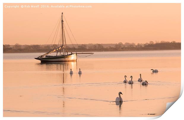 Tranquil swans at Mistley Print by Rob Woolf