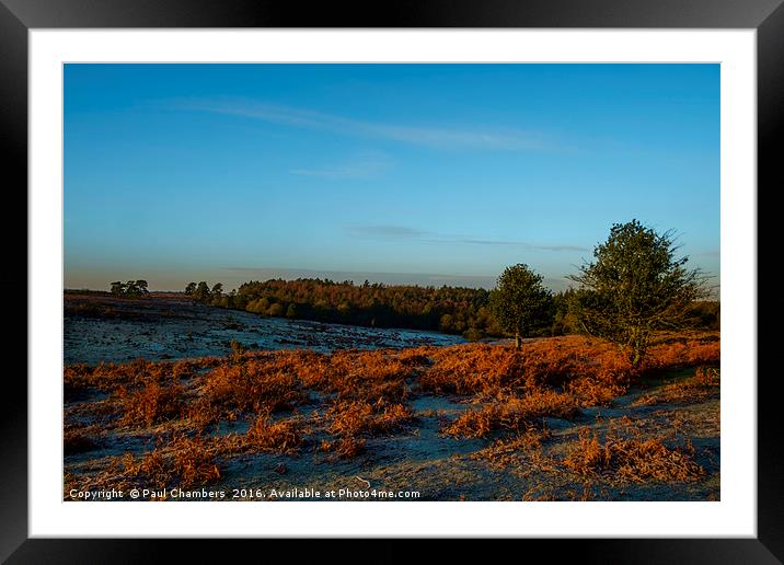 New Forest A beautiful start to the day fabulous g Framed Mounted Print by Paul Chambers