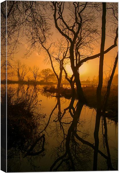 Sunrise over woodland water Canvas Print by Stephen Giles