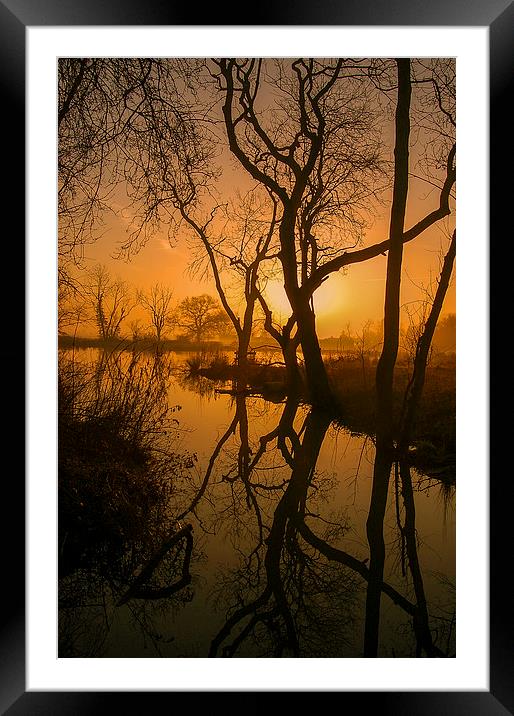Sunrise over woodland water Framed Mounted Print by Stephen Giles