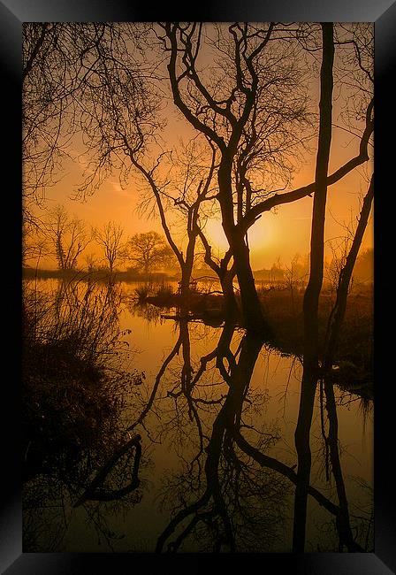 Sunrise over woodland water Framed Print by Stephen Giles
