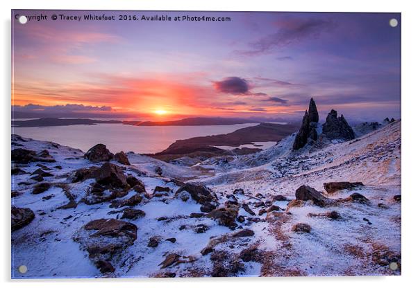 Winter at the Storr  Acrylic by Tracey Whitefoot
