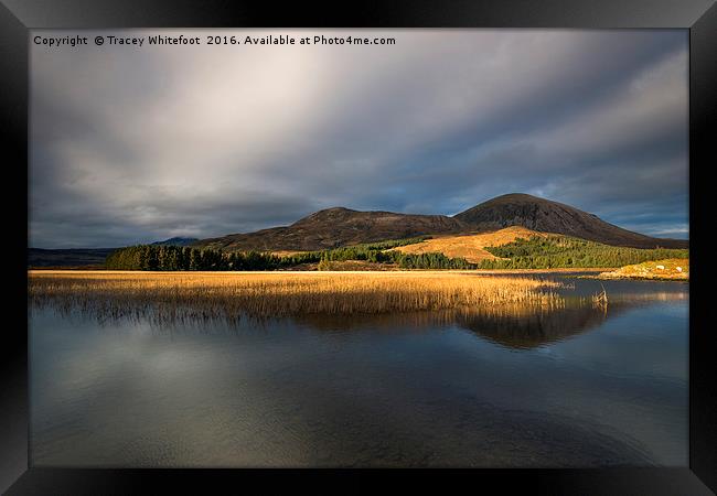 Loch Reflections Framed Print by Tracey Whitefoot