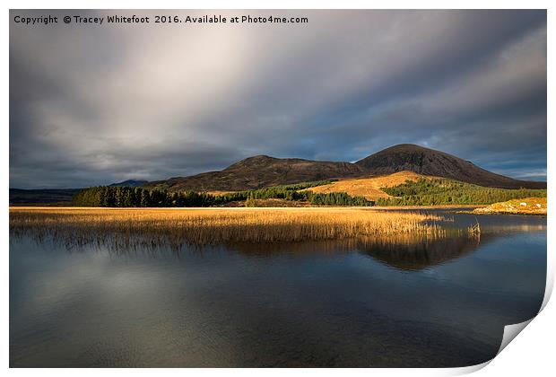 Loch Reflections Print by Tracey Whitefoot