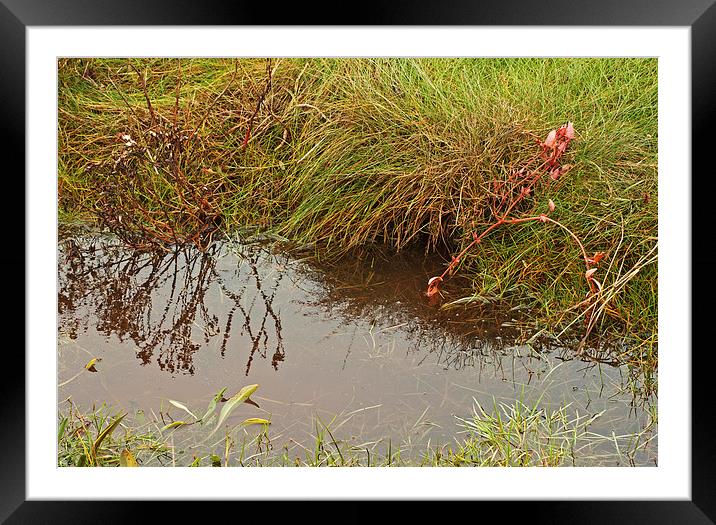 Edge of the Marshland Framed Mounted Print by David McCulloch