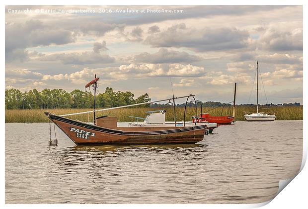 Fishing and Sailboats at Santa Lucia River in Mont Print by Daniel Ferreira-Leite