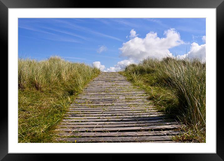 Walkway to the beach  Framed Mounted Print by Shaun Jacobs