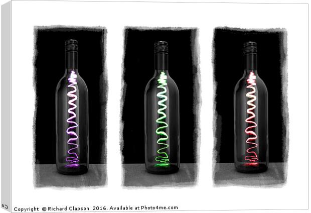 Wine Bottles Canvas Print by Richard Clapson