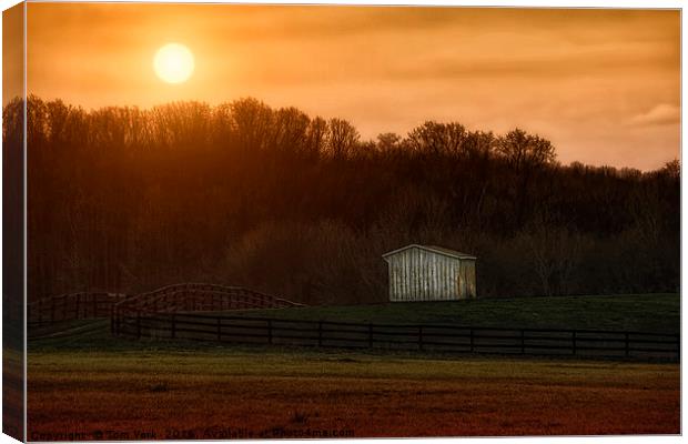 Sunset On The Ranch Canvas Print by Tom York