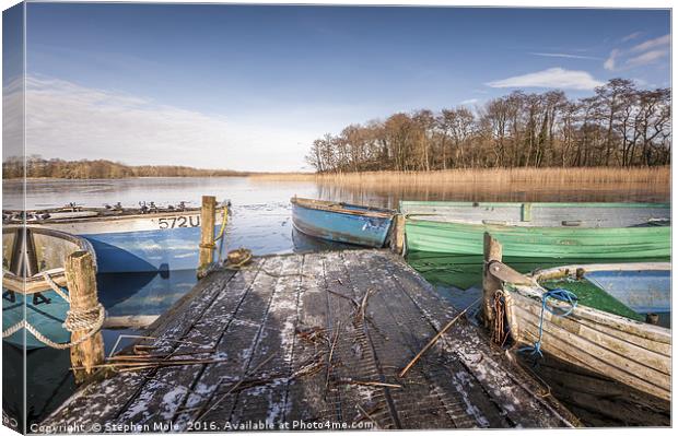 Dinghies on Filby Broad Canvas Print by Stephen Mole