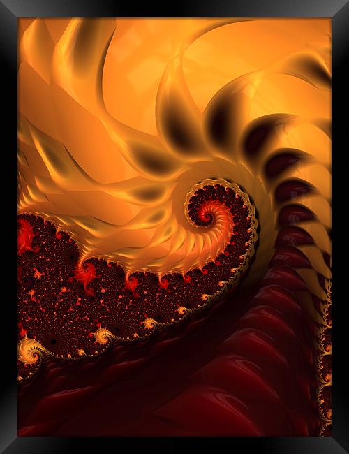 Fire and Brimstone Framed Print by Amanda Moore