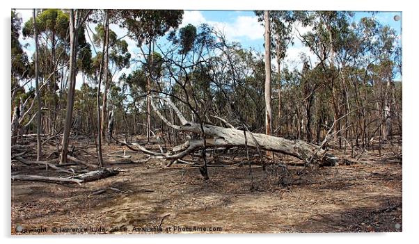 Outback tree collapse Acrylic by laurence hyde