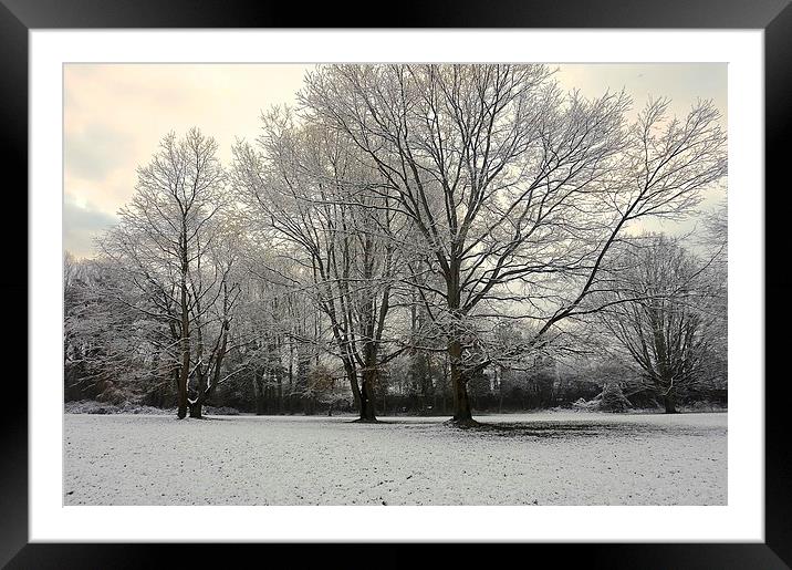 Winter Tree Line Scene                             Framed Mounted Print by Sue Bottomley