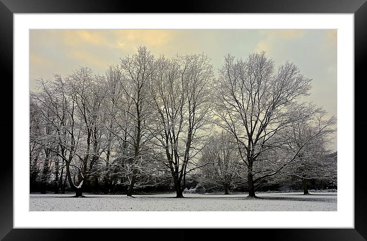 Winter scene at the park                           Framed Mounted Print by Sue Bottomley