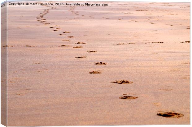 footprints Canvas Print by Marc Lawrence