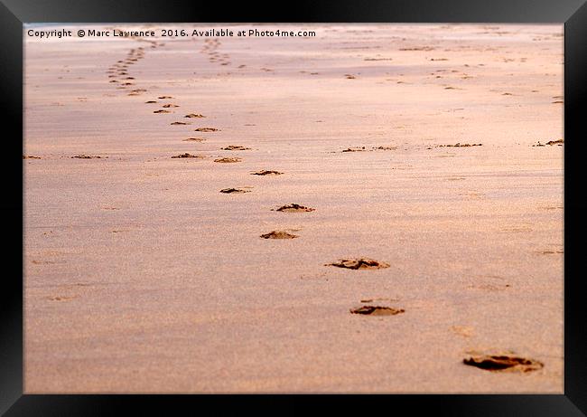 footprints Framed Print by Marc Lawrence