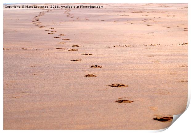 footprints Print by Marc Lawrence