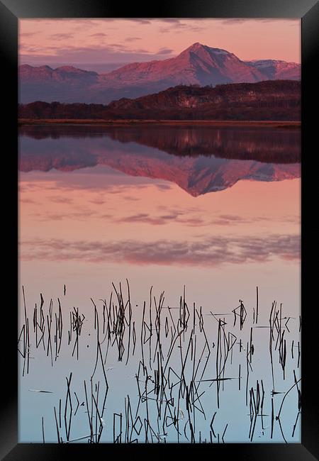 Cnicht from Porthmadog Framed Print by Rory Trappe