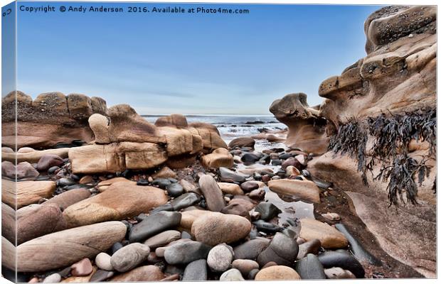 Rock Pools by the Scottish Coast Canvas Print by Andy Anderson