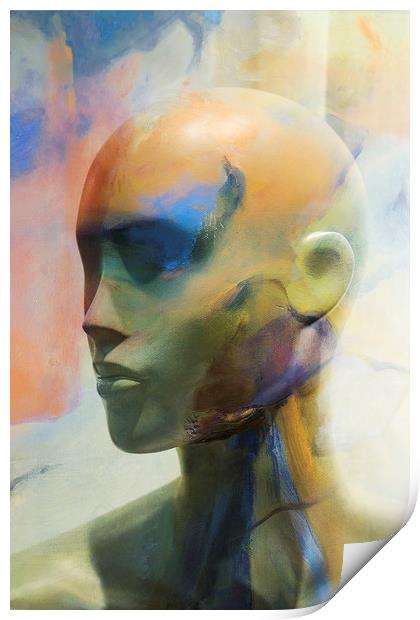 Art Head Print by Harry Hadders