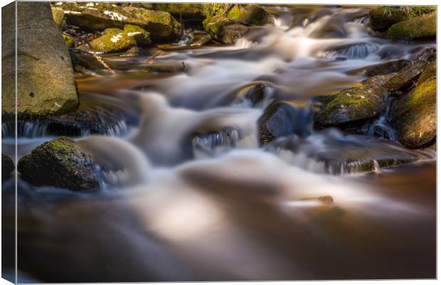 Smooth flow  Canvas Print by David Schofield