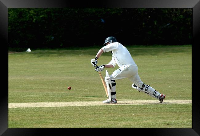 Cricket Batsman 4 Framed Print by Chris Day