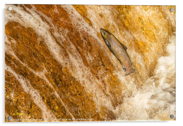 Salmon Leap Acrylic by Ken Jensen