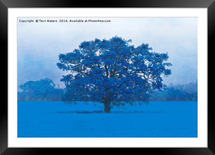 Cold Tree In A Field Of Blue Framed Mounted Print by Terri Waters