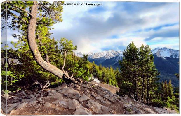 Sulphur Mountain View - Banff - Canada Canvas Print by Andy Anderson