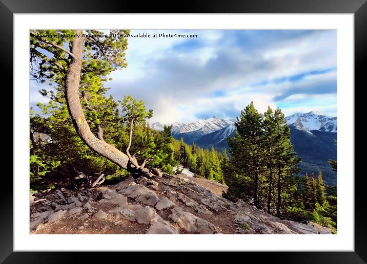 Sulphur Mountain View - Banff - Canada Framed Mounted Print by Andy Anderson