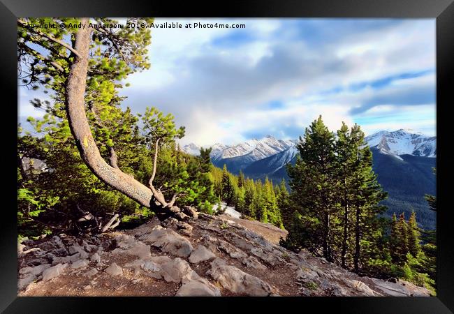 Sulphur Mountain View - Banff - Canada Framed Print by Andy Anderson